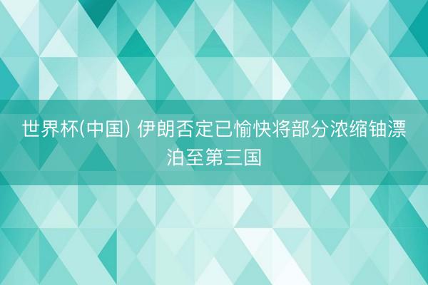 世界杯(中国) 伊朗否定已愉快将部分浓缩铀漂泊至第三国
