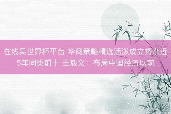 在线买世界杯平台 华商策略精选活泼成立搀杂近5年同类前十 王毅文：布局中国经济以前
