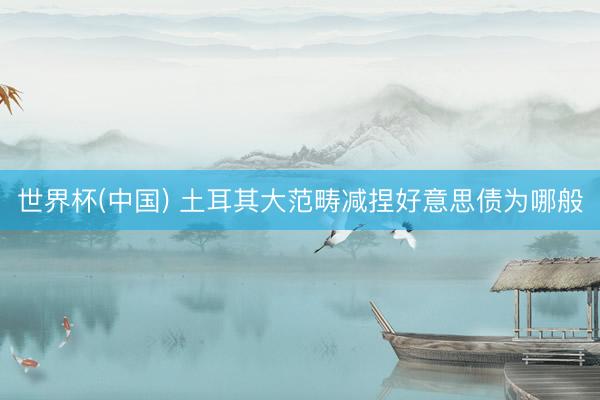 世界杯(中国) 土耳其大范畴减捏好意思债为哪般