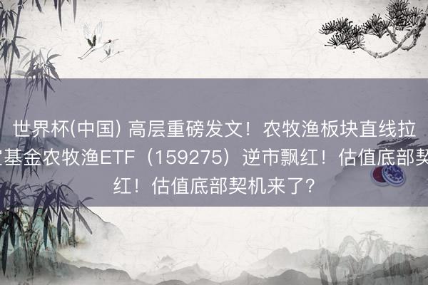 世界杯(中国) 高层重磅发文！农牧渔板块直线拉升，华宝基金农牧渔ETF（159275）逆市飘红！估值底部契机来了？