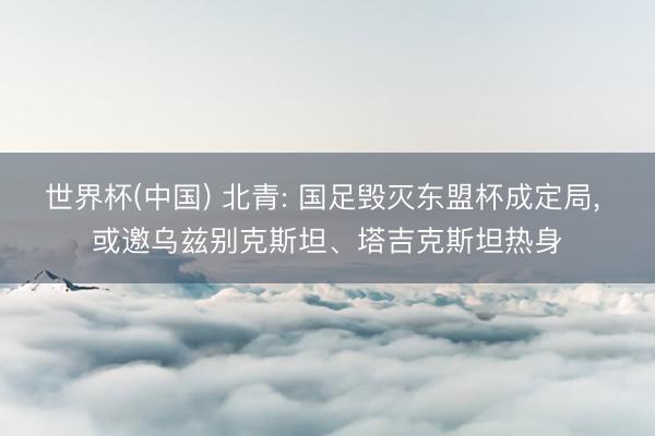 世界杯(中国) 北青: 国足毁灭东盟杯成定局， 或邀乌兹别克斯坦、塔吉克斯坦热身