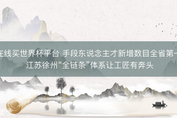 在线买世界杯平台 手段东说念主才新增数目全省第一 江苏徐州“全链条”体系让工匠有奔头