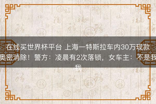 在线买世界杯平台 上海一特斯拉车内30万现款奥密消除！警方：凌晨有2次落锁，女车主：不是我