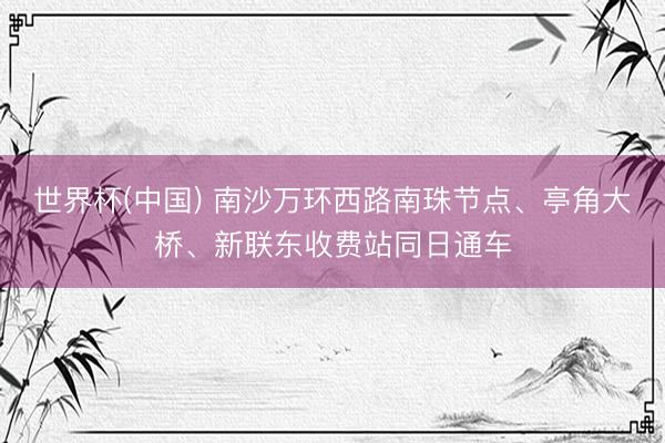 世界杯(中国) 南沙万环西路南珠节点、亭角大桥、新联东收费站同日通车